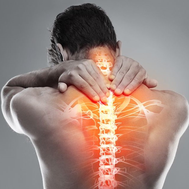 Rausch Physical Therapy & Sports Performance | Exercises for Easing and  Preventing Upper Back Pain